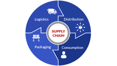 Embrace ERP Supply Chain Management Cycle Graph