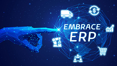 Embrace ERP Extensive Functionality